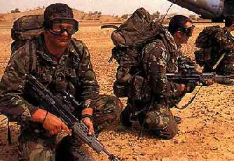 sas